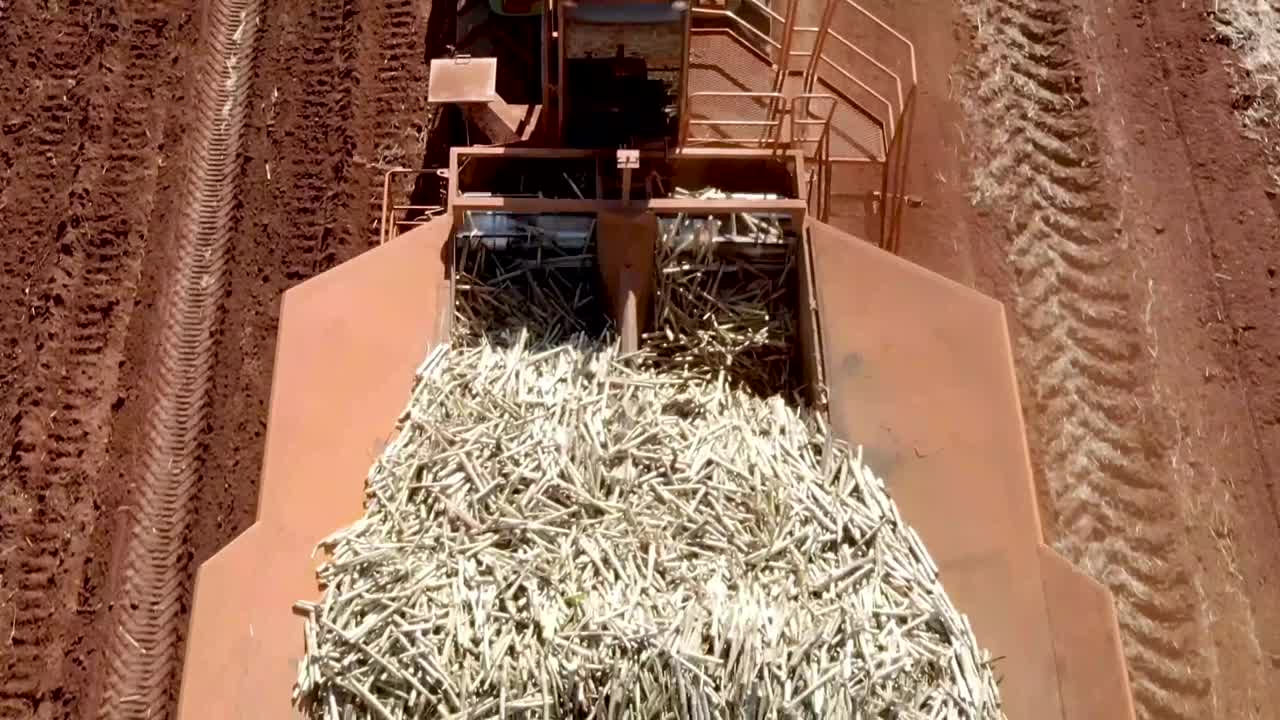 Refined sugar in an industrial processing environment